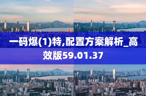 一码爆(1)特,配置方案解析_高效版59.01.37