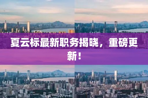 夏云标最新职务揭晓，重磅更新！