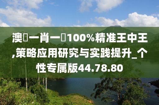 澳門一肖一碼100%精准王中王,策略应用研究与实践提升_个性专属版44.78.80