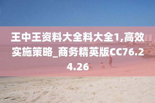 王中王资料大全料大全1,高效实施策略_商务精英版CC76.24.26