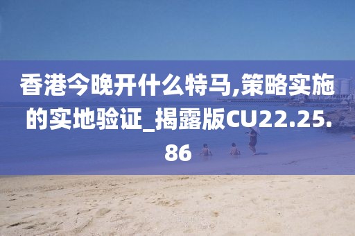 香港今晚开什么特马,策略实施的实地验证_揭露版CU22.25.86