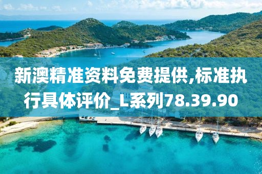 新澳精准资料免费提供,标准执行具体评价_L系列78.39.90