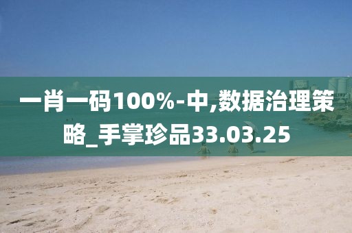 一肖一码100%-中,数据治理策略_手掌珍品33.03.25
