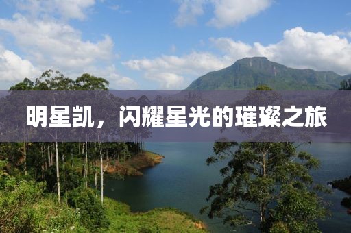 明星凯，闪耀星光的璀璨之旅