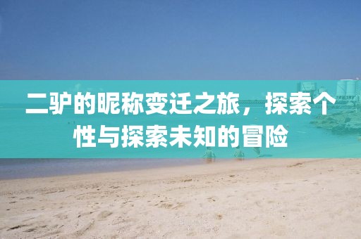 二驴的昵称变迁之旅，探索个性与探索未知的冒险