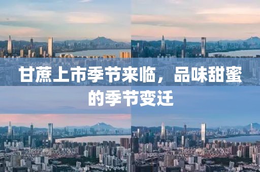 甘蔗上市季节来临，品味甜蜜的季节变迁