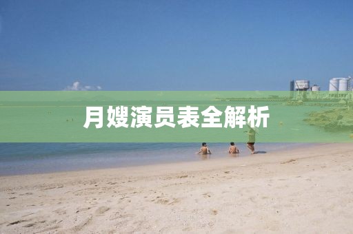 月嫂演员表全解析