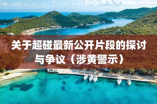关于超碰最新公开片段的探讨与争议（涉黄警示）