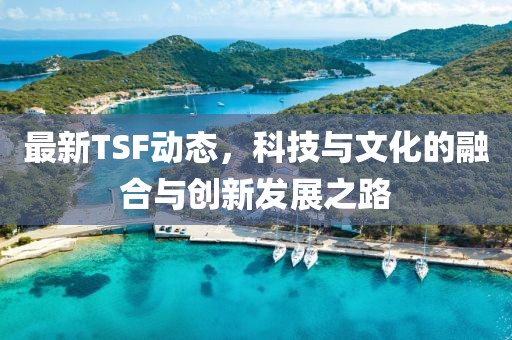 最新TSF动态，科技与文化的融合与创新发展之路