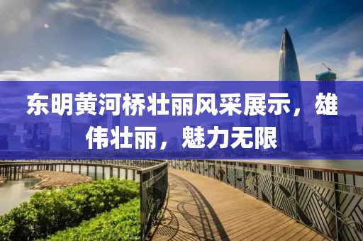 东明黄河桥壮丽风采展示，雄伟壮丽，魅力无限