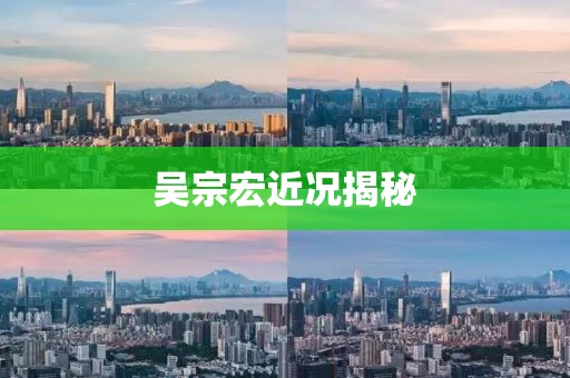 吴宗宏近况揭秘