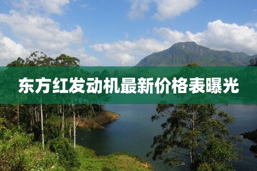东方红发动机最新价格表曝光