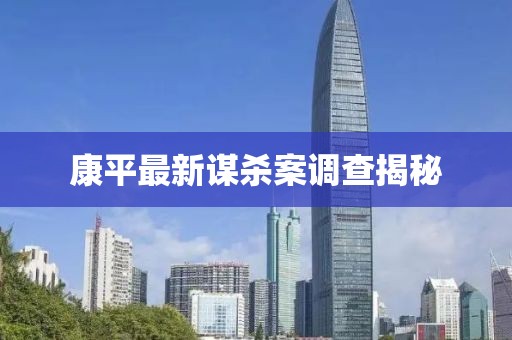 康平最新谋杀案调查揭秘