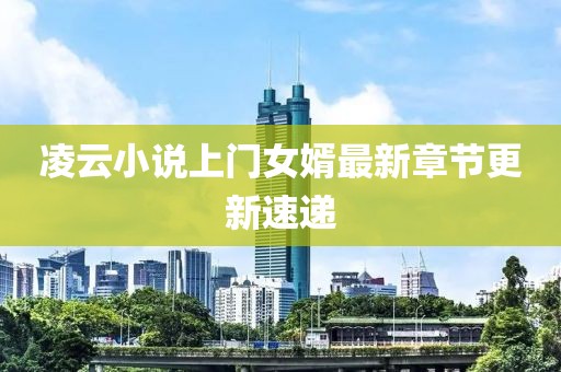 凌云小说上门女婿最新章节更新速递
