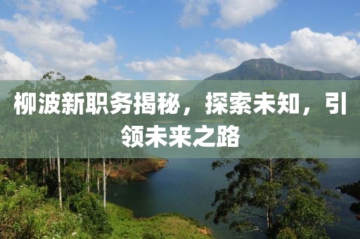 柳波新职务揭秘，探索未知，引领未来之路