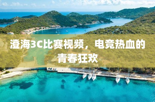 澄海3C比赛视频，电竞热血的青春狂欢