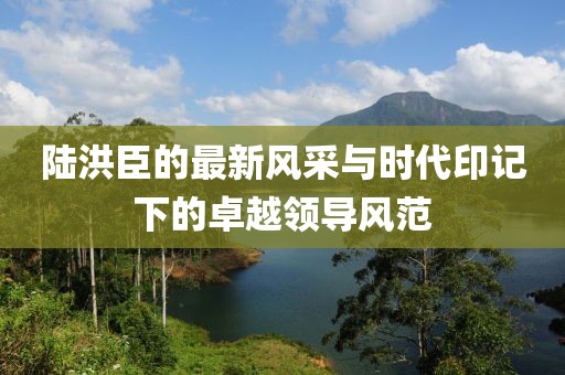陆洪臣的最新风采与时代印记下的卓越领导风范