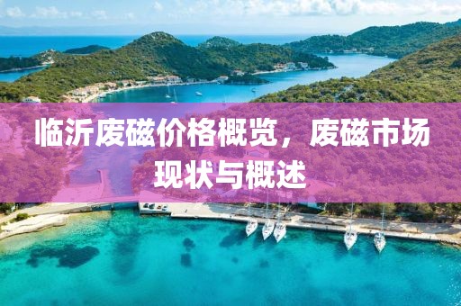 临沂废磁价格概览，废磁市场现状与概述