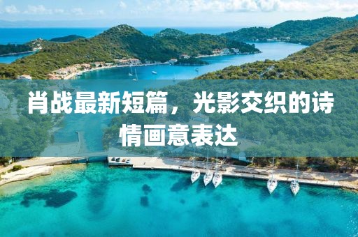 肖战最新短篇，光影交织的诗情画意表达