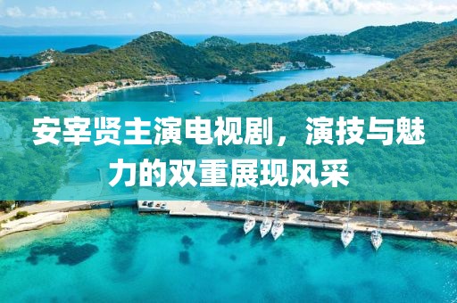 安宰贤主演电视剧，演技与魅力的双重展现风采