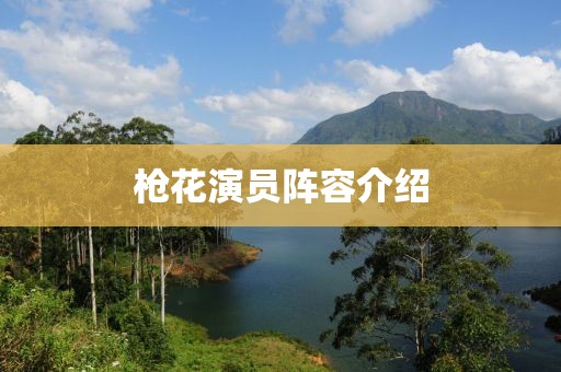 枪花演员阵容介绍