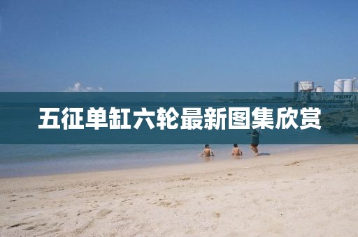 五征单缸六轮最新图集欣赏