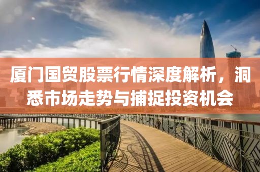 厦门国贸股票行情深度解析，洞悉市场走势与捕捉投资机会