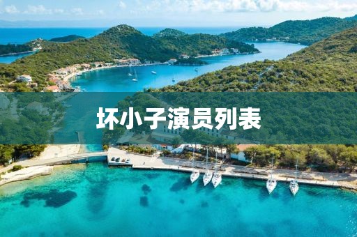 坏小子演员列表
