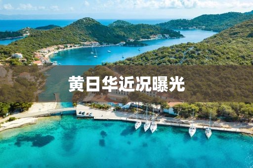 黄日华近况曝光