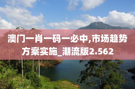 澳门一肖一码一必中,市场趋势方案实施_潮流版2.562