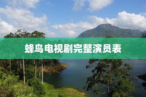 蜂鸟电视剧完整演员表