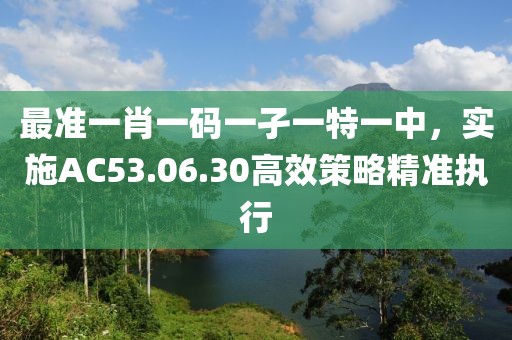 最准一肖一码一孑一特一中，实施AC53.06.30高效策略精准执行