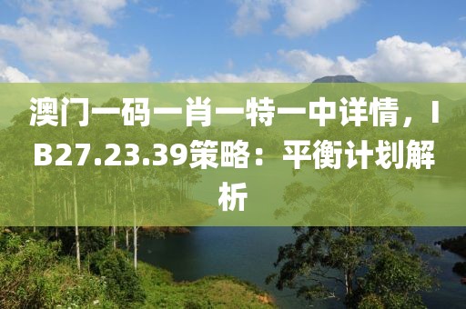 澳门一码一肖一特一中详情，IB27.23.39策略：平衡计划解析