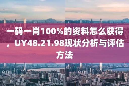 一码一肖100%的资料怎么获得，UY48.21.98现状分析与评估方法