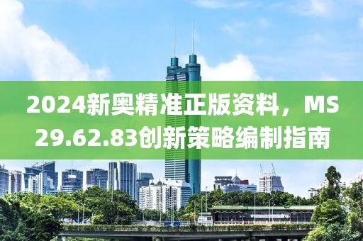 2024新奥精准正版资料，MS29.62.83创新策略编制指南