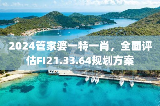 2024管家婆一特一肖，全面评估FI21.33.64规划方案