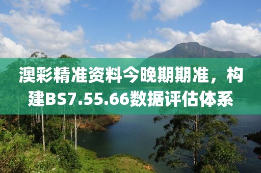 澳彩精准资料今晚期期准，构建BS7.55.66数据评估体系