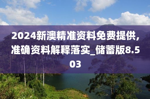 2024新澳精准资料免费提供,准确资料解释落实_储蓄版8.503