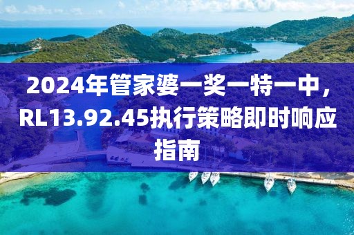 2024年管家婆一奖一特一中，RL13.92.45执行策略即时响应指南