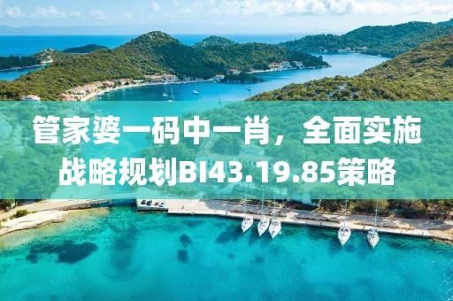 管家婆一码中一肖，全面实施战略规划BI43.19.85策略