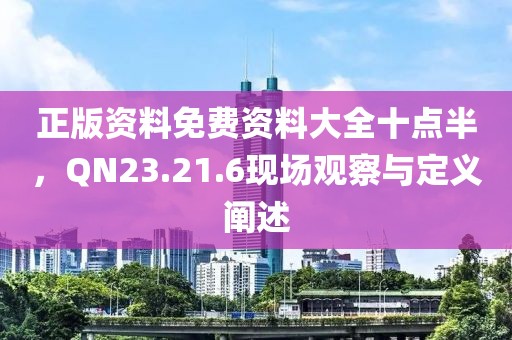 正版资料免费资料大全十点半，QN23.21.6现场观察与定义阐述