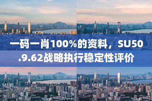 一码一肖100%的资料，SU50.9.62战略执行稳定性评价