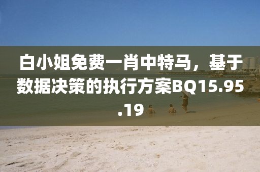 白小姐免费一肖中特马，基于数据决策的执行方案BQ15.95.19