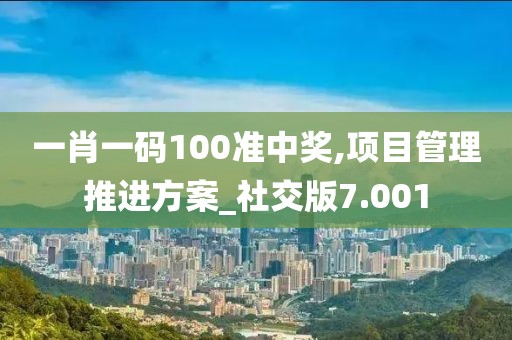 一肖一码100准中奖,项目管理推进方案_社交版7.001