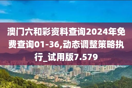 澳门六和彩资料查询2024年免费查询01-36,动态调整策略执行_试用版7.579