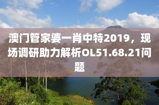 澳门管家婆一肖中特2019，现场调研助力解析OL51.68.21问题