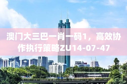 澳门大三巴一肖一码1，高效协作执行策略ZU14-07-47