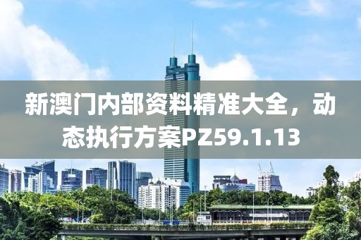 新澳门内部资料精准大全，动态执行方案PZ59.1.13