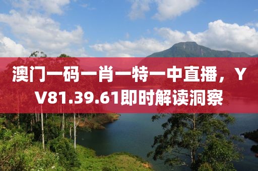 澳门一码一肖一特一中直播，YV81.39.61即时解读洞察