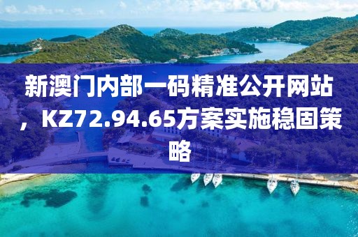 新澳门内部一码精准公开网站，KZ72.94.65方案实施稳固策略